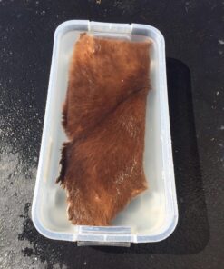 Knoblochs Deer Hunter's & Trapper's Hide & Fur Tanning Formula Multi Pack 1 31 81GkXXMQluL