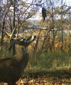 Wildlife Research Center Scrape Active-Scrape Combo 20 81GnfPW7BwL
