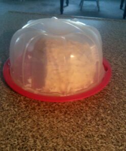 Nordic Ware Bundt Cake Keeper, Plastic, 13 in L X 12 in W X 7 in H, Red 43 81GngeCL2CL