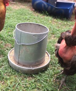 Miller 9112 12lb. Galvanized Hanging Poultry Feeder 12 lb 15 81GpEjZxkcL