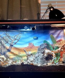 4-Pack Mini Digital Temperature Humidity Meters Gauge Indoor Thermometer Hygrometer LCD Display Fahrenheit (℉) for Reptile Tank,Jars,Guitar Case,Greenhouse, Garden, Cellar, Fridge, Closet 26 81GtGAWpdzL