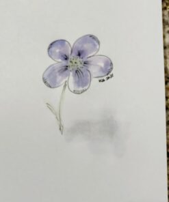 Noodler's Black Waterproof Fountain Pen Ink - Bulletproof,3 ounce 47 81GuJg4FlsL