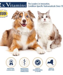 Rx Vitamins Cranberry Pills for Dogs - Cat Urinary Tract Medicine Support - UTI Treatment for Pets - Dog & Cat Urinary Relief Aid - 90 Cap. 11 81GwJUnYN2L