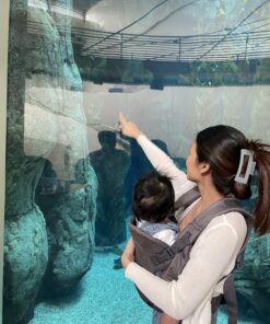 Infantino Flip Advanced 4-in-1 Carrier - Ergonomic, convertible, face-in and face-out front and back carry for newborns and older babies 8-32 lbs Grey 30 81GxmZW6PiL