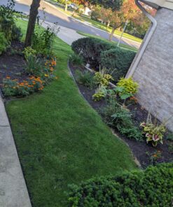 Scotts EZ Seed Patch and Repair Sun and Shade for Grass: Covers up to 225 sq. ft., 10 lb. 10 lb. 1 Pack 62 81GytSg6SZL