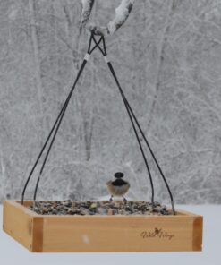 Wild Wings WWCF23 Cedar Tray Bird Feeder 32 81H0Qmx8R6L