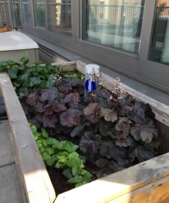 Recycle a Plastic Bottle Stake Set with Adapter 1 28 81H13Ym01TL