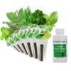 AeroGarden Gourmet Herb Seed Pod Kit - Herb Seeds for AeroGarden Indoor Garden, 6-Pod 19 81H1oAI JL