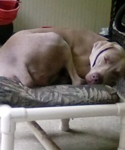 Nylabone Power Chew Dog Toy - Dog Toys for Aggressive Chewers - Indestructible Dog Toys for Aggressive Chewers Large Breed - For Extra Large Dogs - Bacon Flavor X-Large/Souper (1 Count) X-Large/Souper - 50+ lbs. 44 81H1tRs1MrL