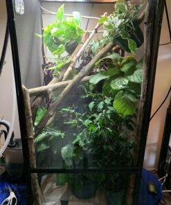 Zoo Med ReptiBreeze Open Air Screen Cage, Extra Large, 24 x 24 x 48-Inches 43 81H2Lm4MJ9L