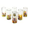 Novica Colorful Handblown Glass Highball Cocktail (Set of 6) 44 81H5AqdIEIL
