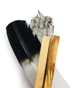 Feather Fanning Kit with Abalone Shell, Medium California White Sage, and Palo Santo Multicolor 13 81H6yxnnxLL