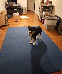 Gorilla Mats Premium Large Yoga Mat – 7' x 5' x 8mm Extra Thick & Ultra Comfortable, Non-Toxic, Non-Slip Barefoot Exercise Mat – Works Great on Any Floor for Stretching, Cardio or Home Workouts 7' x 5' x 8mm (84" Long x 60" Wide) 28 81H7JVTQVwL