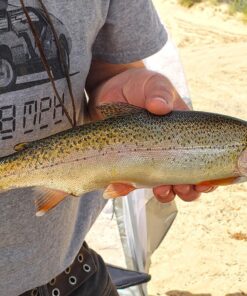 Okuma Voyager Spinning Freshwater Travel Kit, VS-605-20, Blue Fishing Rod Reel Combo 30 81H7auHI2cL