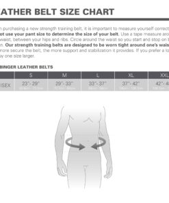 Harbinger Gym Weightlifting Belt Black Medium 12 81H7pWUOrZL