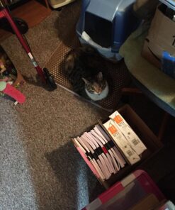 iPrimio Large Cat Litter Trapper Mat w/ Urine/Waterproof Layer - Larger Holes w/ Urine Puppy Pad Option - Cat Litter Mat, Light and Soft (Brown Color) 30x23 - Brown 37 81H88hdPfAL