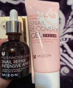MIZON Snail Line Gift Set, Skincare Set, Set of Two Snail Recovery Gel Cream, Wrinkle Care, Skin Elasticity, Moisture, Fragrance-Free, Paraben-Free (45ml 1.52 fl.oz -Pack of 2) 2 Count (Pack of 1) 39 81H9ZzayM1L