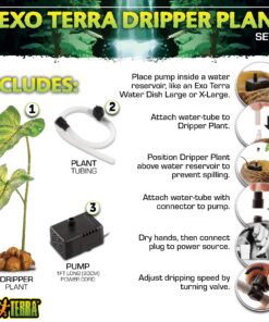 Exo Terra Dripper Plant, Large Standard Packaging 25 81HCrXF2pBL