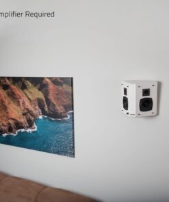 Fluance Elite High Definition 2-Way Bipolar Surround Speakers for Wide Dispersion Surround Sound in Home Theater Systems - Black Ash/Pair (SXBP2) 27 81HDuxdFi5L