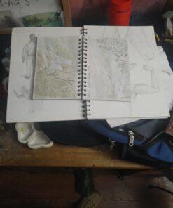 Strathmore 460-55 400 Series Visual Watercolor Journal, 140 LB Cold Press, 5.5"x8", 22 Sheets , White 5.5x8.5 Watercolor 140LB 40 81HE3vFRhAL