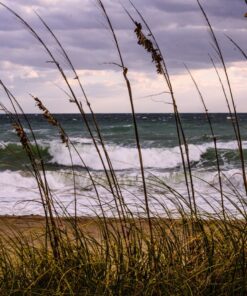 Nikon Z7 Full-Frame Mirrorless Interchangeable Lens Camera with 45.7MP Resolution, Body, Black, 1591 Body Only Base 38 81HFiXKkVeL