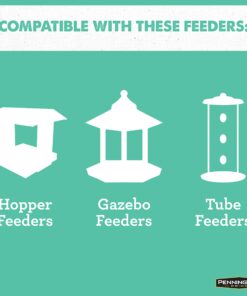 Pennington Pride Wild Finch Blend Wild Bird Seed , 10 lb 10 81HGFtfFw2L