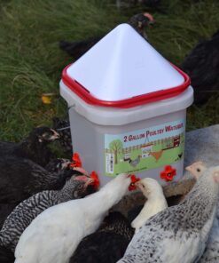 RentACoop 2 Gallon Chicken BPA-Free Plastic Bucket Waterer Set with 4 Horizontal Nipples - Corner Placement 29 81HJ8p7IFpL