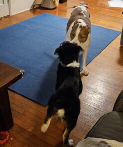 Gorilla Mats Premium Large Yoga Mat – 7' x 5' x 8mm Extra Thick & Ultra Comfortable, Non-Toxic, Non-Slip Barefoot Exercise Mat – Works Great on Any Floor for Stretching, Cardio or Home Workouts 7' x 5' x 8mm (84" Long x 60" Wide) 29 81HL hMniPL 1