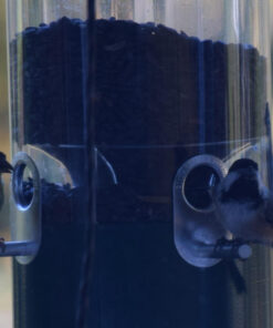 Wagner's 76029 Black Oil Sunflower Seed Wild Bird Food, 40-Pound Bag 35 81HMZu2JwL