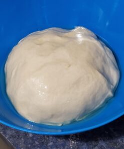 Saf Instant Yeast, 1 Pound Pouch 1 Pound (Pack of 1) 78 81HOv tONvL