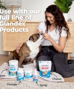 Glandex Anal Gland Soft Chew Treats with Pumpkin for Dogs Digestive Enzymes, Probiotics Fiber Supplement for Dogs Boot The Scoot (Peanut Butter Chews, 30ct) Peanut Butter Chews 28 81HSPOPOHuL