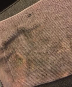 Folex Instant Carpet Spot Remover, 128oz Odor Free 128 Fl Oz (Pack of 1) 47 81HSwud5V6L