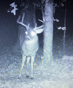 Wildlife Research Center Scrape Dripper Only 18 81HTCJbvvKL