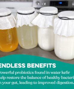 Cultures for Health Kefir Starter Culture | 4 Packets Freeze Dried Starter Powder | Make Kefir with Milk, Water, or Juice | Re-Culture Kefir Probiotic Drinks 2-7x Each | Cultures in Less Than a Day Coconut 0.20 Ounce (Pack of 1) 27 81HU8bzEbuL