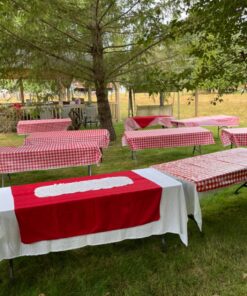 Red Gingham Plastic Tablecloth Roll With Cutter, 100' x 52" - Heavy Duty Party Table Cloth In Self Cutting Box - For Picnics, BBQs, and Birthday Parties - By Clearly Elegant Gingham Red 38 81HVt1h8H7L