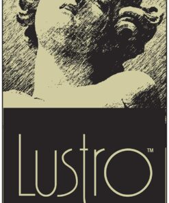 Lustro Italiano Ultra Premium Stone Sealer, Clear 11 81HXMi0ymNL 1