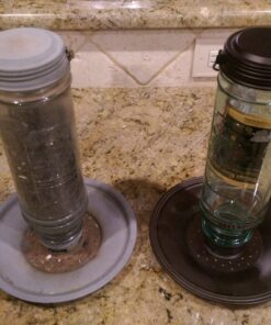 More Birds Songbird Vintage Bird Feeder, Sunflower and Thistle Feeder, 4 Feeding Ports, 1.5 lb Seed Capacity Vintage Glass 18 81HamNTASnL