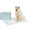 Amazon Basics Dog and Puppy Pee Pads with 5-Layer Leak-Proof Design and Quick-Dry Surface for Potty Training, Standard Absorbency, X-Large, 28 x 34 Inch - Pack of 60, Blue & White Unscented X-Large (60 Count)