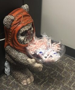 Taffy Town Assorted Gourmet Salt Water Taffy, 5 Lb Bag 30 81HcXozwsqL 1