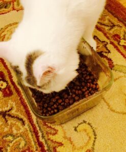 Taste Of The Wild Rocky Mountain Grain-Free Dry Cat Food With Roasted Venison & Smoke-Flavored Salmon 5lb 5 Pound (Pack of 1) 35 81Hhs9pG L