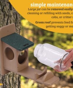 Birds Choice SNSQJAR Recycled Squirrel Jar Feeder, Squirrel Feeders, 7-1/4"L X 19"W X 15-3/4"H, Taupe w/ Green Roof 27 81Hi6NyJSRL