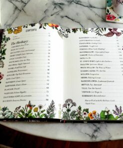 The Illustrated Herbiary: Guidance and Rituals from 36 Bewitching Botanicals (Wild Wisdom) Hardcover, Illustrated 61 81Hjg1camhL 1