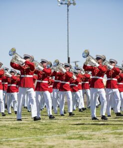 Blessing Tuba Mouthpiece (MPC18TB) 13 81HpCwQDnuL