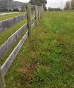 Greenworks Pro 80V Cordless Brushless String Trimmer + Leaf Blower Combo, 2Ah Battery and Charger Included STBA80L210 16" Trimmer + Blower (2.0Ah) 40 81Hqbmi0D6L