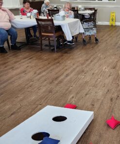 SC Cornhole Games Weather Resistant Cornhole Bags (Set of 8) - Professional Regulation Size/Weight (16 oz) - Use on Pro Corn Hole Boards or Bean Bag Toss Sets Red/Royal Blue 24 81HrH4IfgHL