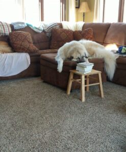 Dyson Cinetic Big Ball Animal Upright Vacuum Cleaner, Purple/Iron Vacuum Only 43 81HrkooWs L