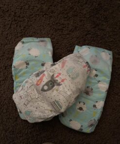 The Honest Company Clean Conscious Overnight Diapers | Plant-Based, Sustainable | Sleepy Sheep | Club Box, Size 4 (22-37 lbs), 54 Count Size 4 (54 Count) 25 81HsWjhi3gL