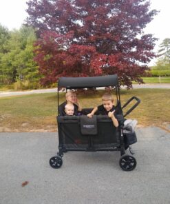 WONDERFOLD W4 Original Quad Stroller Wagon Featuring 4 High Face-to-Face Seats with 5-Point Harnesses, Easy Access Front Zipper Door, and Removable UV-Protection Canopy, Black W4_Original 37 81Ht2RMxYqL