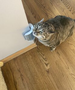 Catit Senses 2.0 Self Grooming Cat Brush and Interactive Cat Toy 28 81HvFXdRDqL