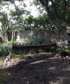 Kamber Hammock Straps – Two Extra Long 10ft Hammock Straps with Precision Adjusting Buckles and Heavy-Duty Carbon Steel Carabiners, Triple Stitched Non-Stretch Polyester Straps, Holds 1500Lbs 19 81HvHBEfGIL